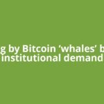 Selling by Bitcoin ‘whales’ blunts institutional demand
