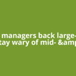 Fund managers back large-caps, stay wary of mid- &amp;