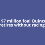 Winx’s $7 million foal Quinceanera retires without racing,