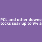 RIL, HPCL and other downstream stocks soar up to 9% as