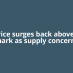 Oil price surges back above $100 mark as supply concerns