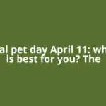 National pet day April 11: which pet is best for you? The