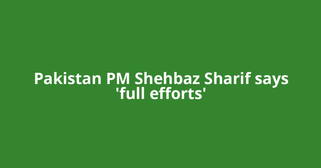Pakistan PM Shehbaz Sharif says 'full efforts'