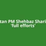 Pakistan PM Shehbaz Sharif says 'full efforts'