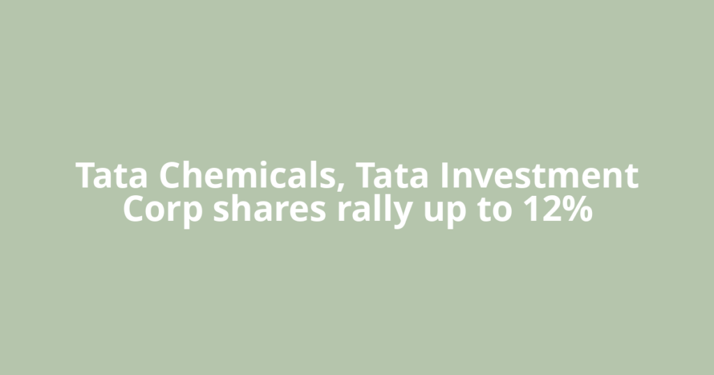 Tata Chemicals, Tata Investment Corp shares rally up to 12%