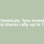 Tata Chemicals, Tata Investment Corp shares rally up to 12%