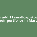 5 MFs add 11 smallcap stocks to their portfolios in March