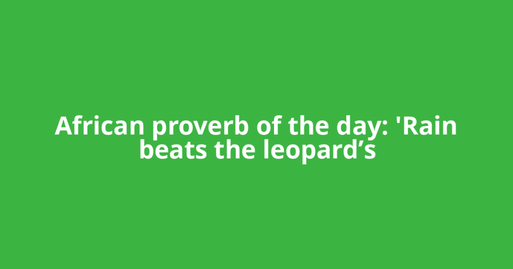 African proverb of the day: 'Rain beats the leopard’s