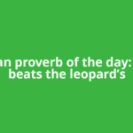 African proverb of the day: 'Rain beats the leopard’s