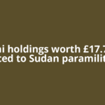 Dubai holdings worth £17.7 mln traced to Sudan paramilitary