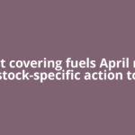 Short covering fuels April rally, stock-specific action to