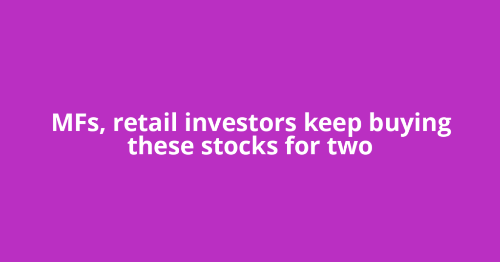 MFs, retail investors keep buying these stocks for two