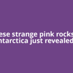 These strange pink rocks in Antarctica just revealed a