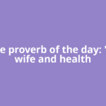 Chinese proverb of the day: 'A good wife and health