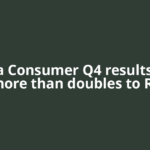 Honasa Consumer Q4 results: Profit more than doubles to Rs