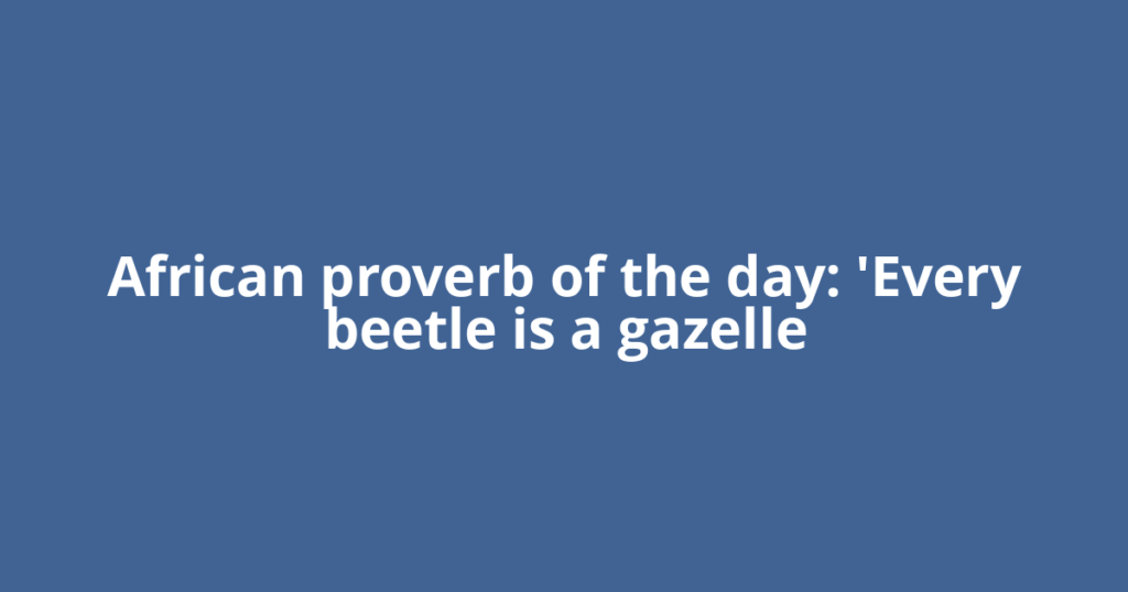 African proverb of the day: 'Every beetle is a gazelle