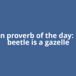 African proverb of the day: 'Every beetle is a gazelle