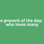 Chinese proverb of the day: 'A man who loves many