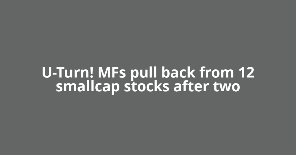 ​U-Turn! MFs pull back from 12 smallcap stocks after two