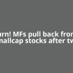 ​U-Turn! MFs pull back from 12 smallcap stocks after two
