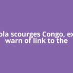As Ebola scourges Congo, experts warn of link to the