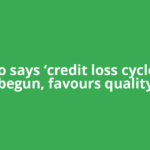 Pimco says ‘credit loss cycle’ has begun, favours quality