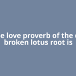 Chinese love proverb of the day: “A broken lotus root is