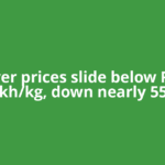 Silver prices slide below Rs 2 lakh/kg, down nearly 55%