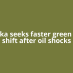 Sri Lanka seeks faster green energy shift after oil shocks