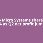 Apollo Micro Systems shares rally 9% as Q2 net profit jumps