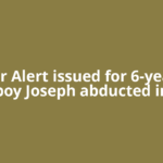 Amber Alert issued for 6-year-old boy Joseph abducted in