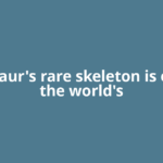 Dinosaur's rare skeleton is one of the world's