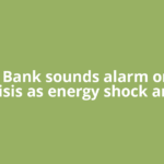 World Bank sounds alarm on food crisis as energy shock and
