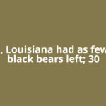 In 1992, Louisiana had as few as 150 black bears left; 30