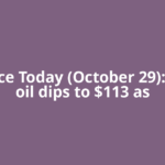 Oil Price Today (October 29): Crude oil dips to $113 as