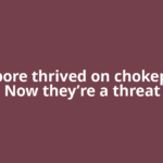 Singapore thrived on chokepoints. Now they’re a threat