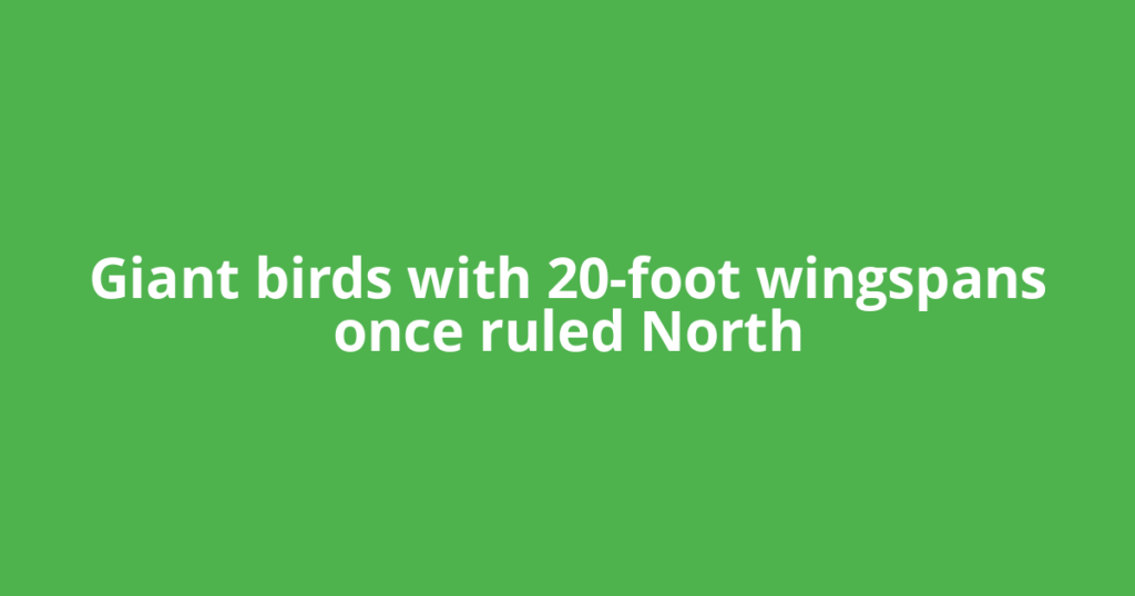 Giant birds with 20-foot wingspans once ruled North