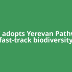 COP17 adopts Yerevan Pathway to fast-track biodiversity